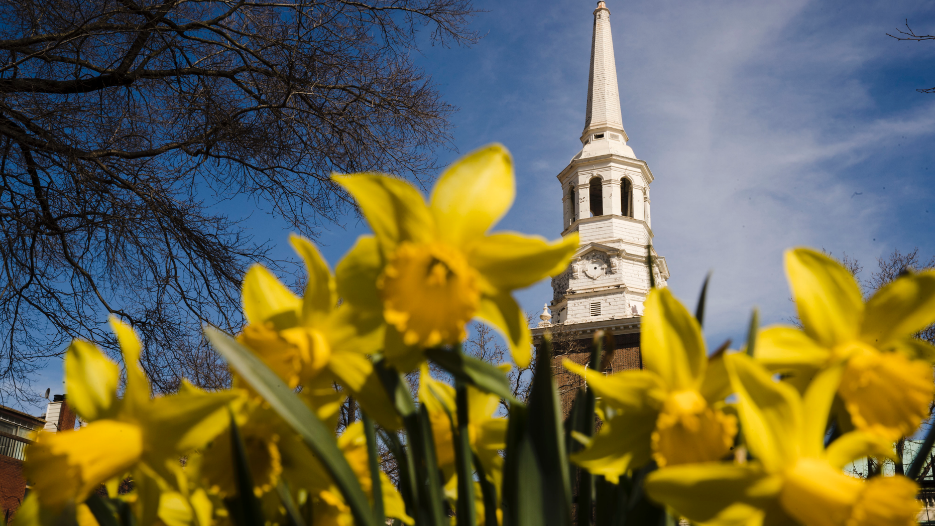 In this Wednesday, March 27, 2019 photo, the tower and steeple of Christ Church stands above newly bloomed daffodils in Philadelphia. The National Endowment for the Humanities has awarded a $500,000 grant to the historic church to restore its steeple and church tower. (AP Photo/Matt Rourke)
