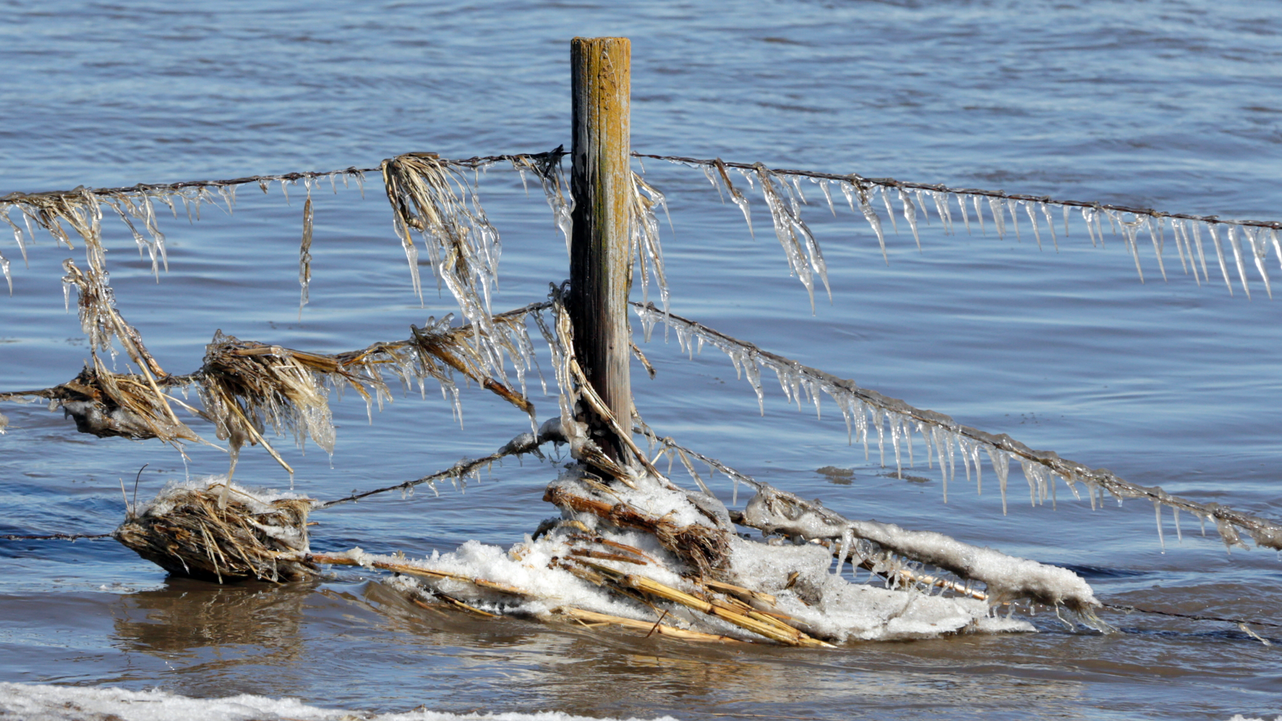 A fence encrusted with ice and corn stalks, stands in flood waters of the Elkhorn River, in Norfolk, Neb., Friday, March 15, 2019. Thousands of people have been urged to evacuate along eastern Nebraska rivers as a massive late-winter storm has pushed streams and rivers out of their banks throughout the Midwest. (AP Photo/Nati Harnik)
