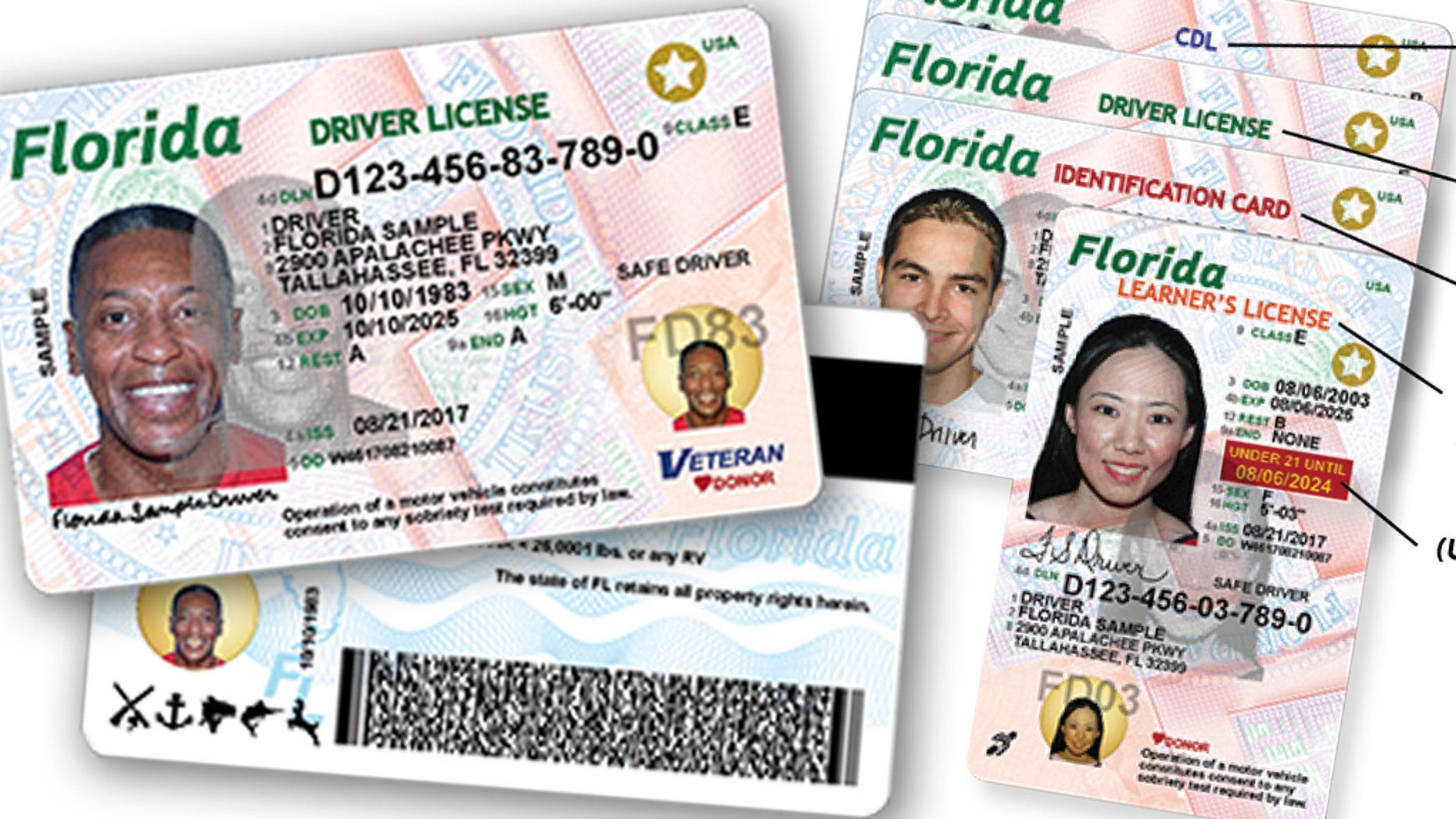 Florida bill would allow illegal immigrants to get driver's licenses