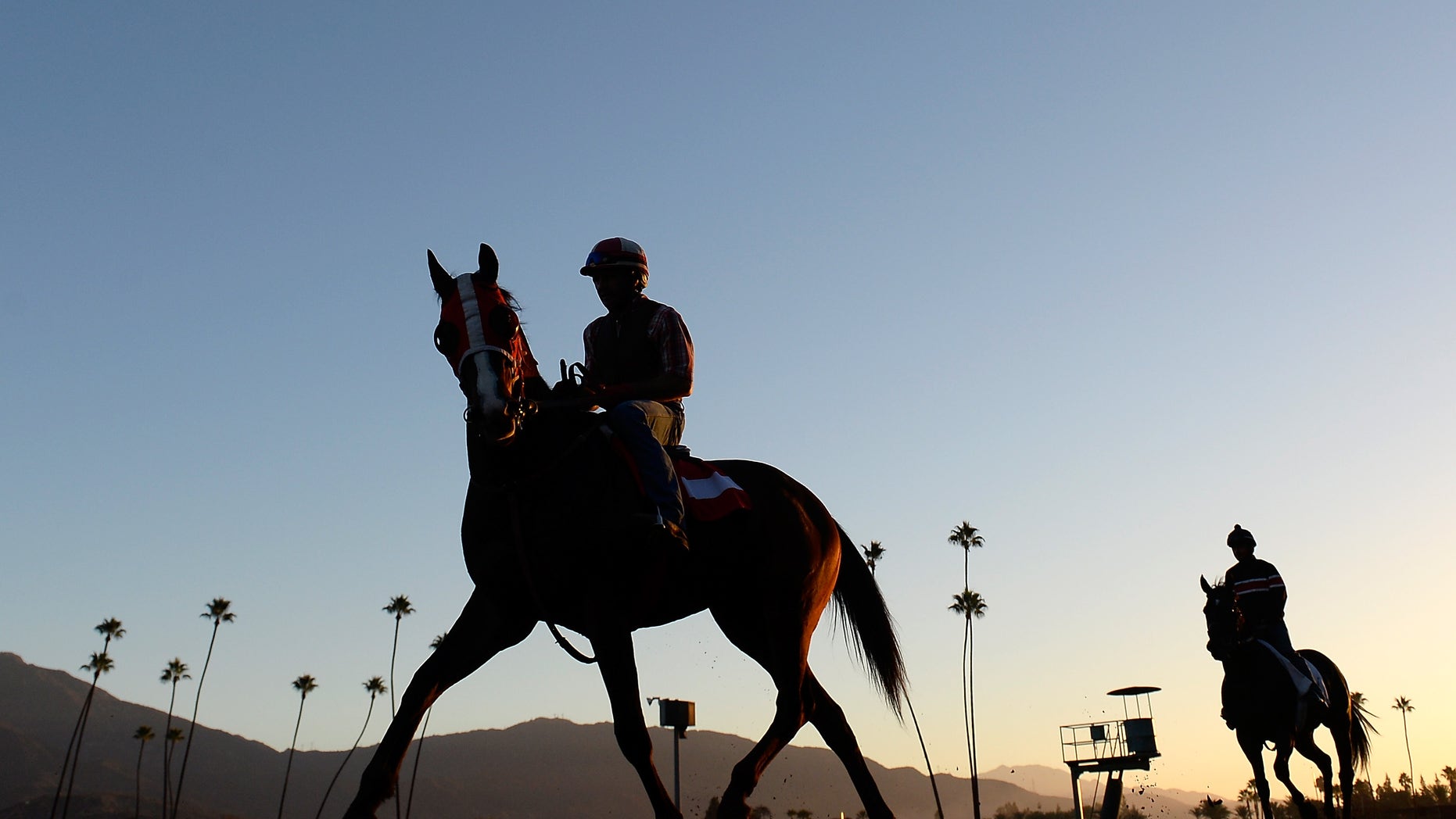 Horses training in preparation for the 2014 Breeder's Cup at Santa Anita Park on Oct. 29, 2014, in Arcadia, California. (Harry How/Getty Images, File)