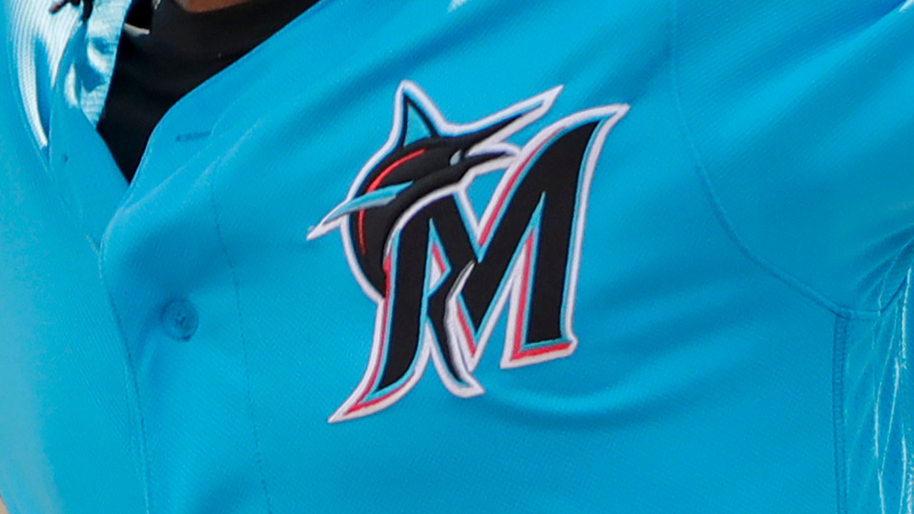 Miami Marlins minor league team will host a 'Florida Man Night.'