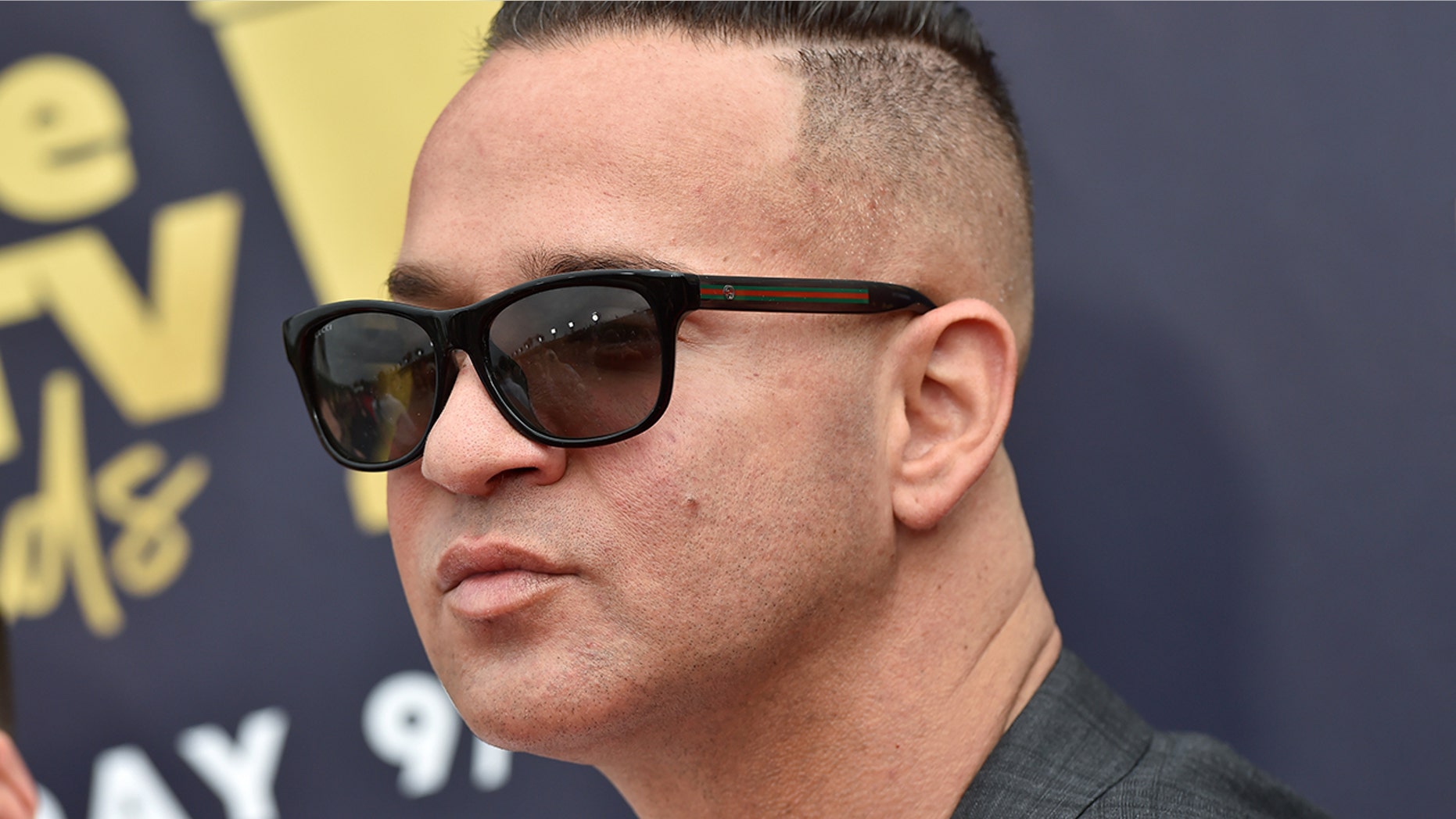 TV personality Mike Sorrentino attends the 2018 MTV Movie And TV Awards at Barker Hangar on June 16, 2018 in Santa Monica, California.