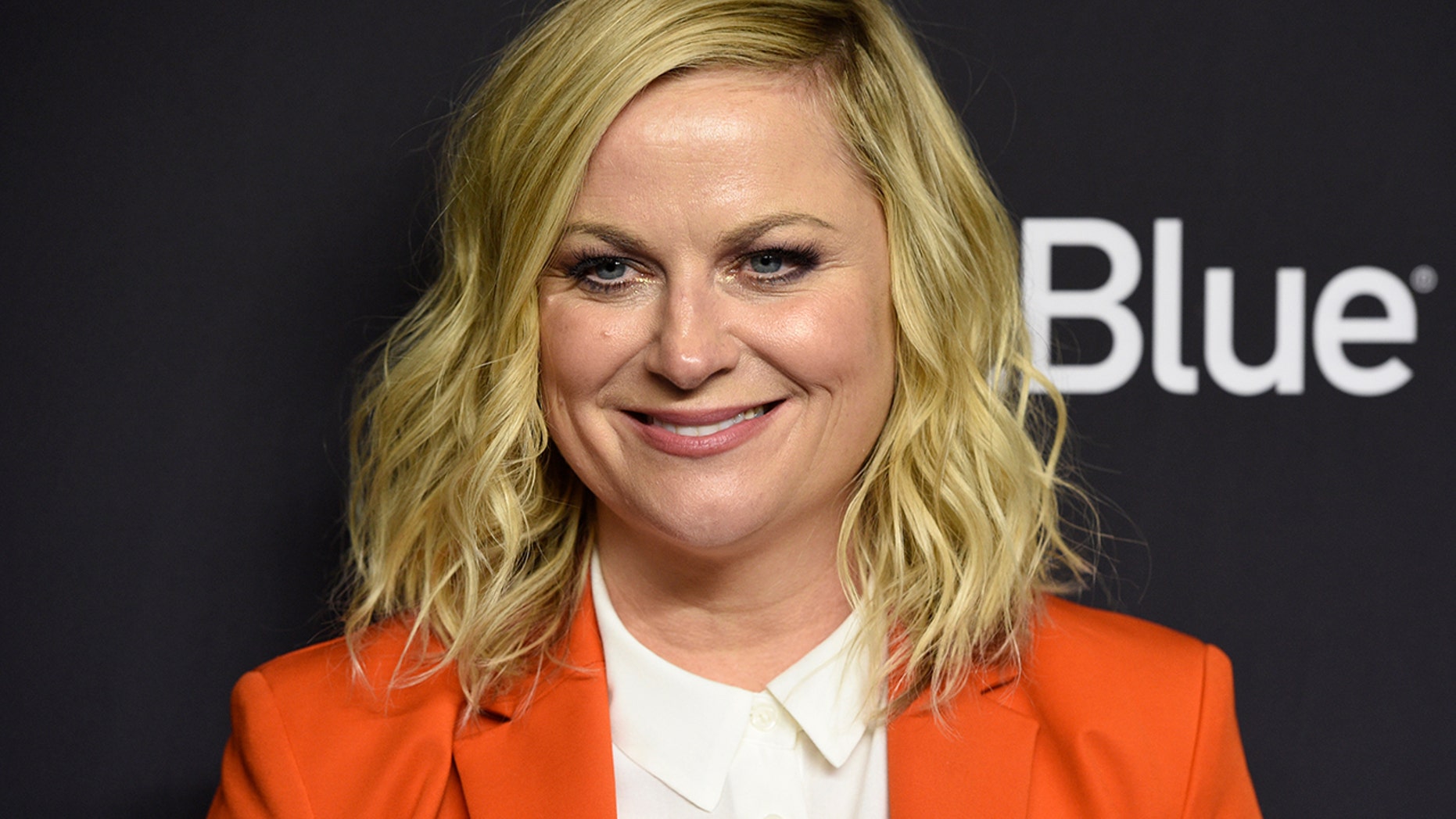 Amy Poehler arrives at the 