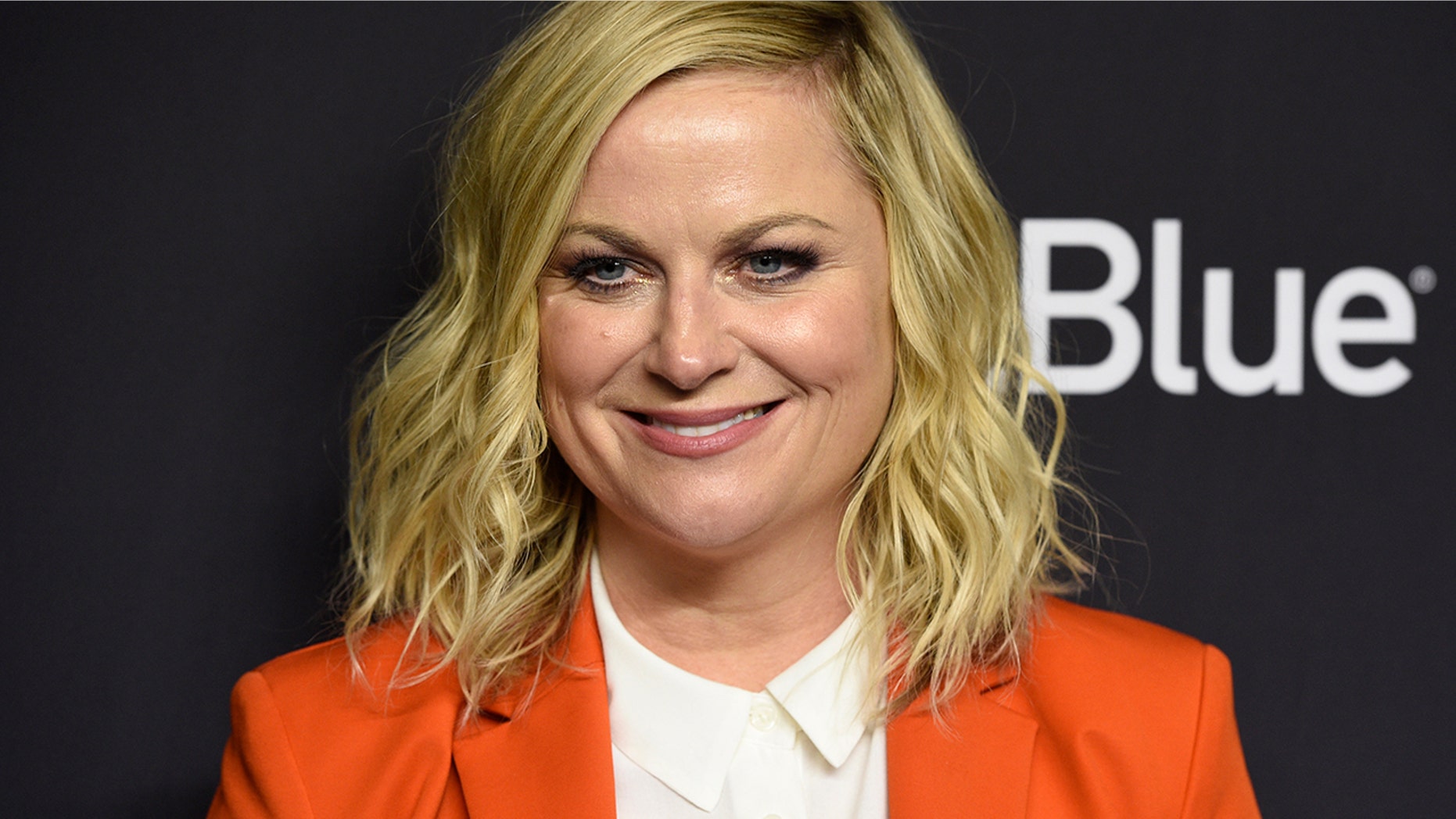 Amy Poehler arrives at the 