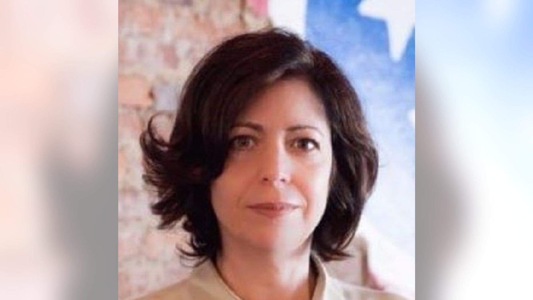 Mary Mancini, chair of the Tennessee Democratic Party, apologized this week after calling the state.