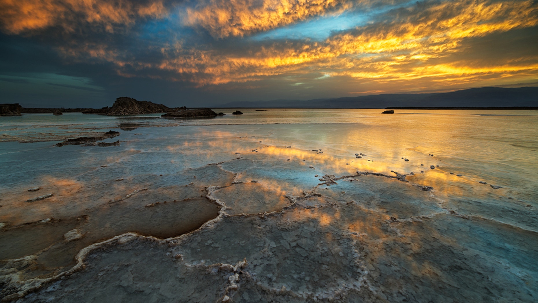 Ancient microbes ate each other s corpses to survive Ancient microbes ate each other s corpses to survive