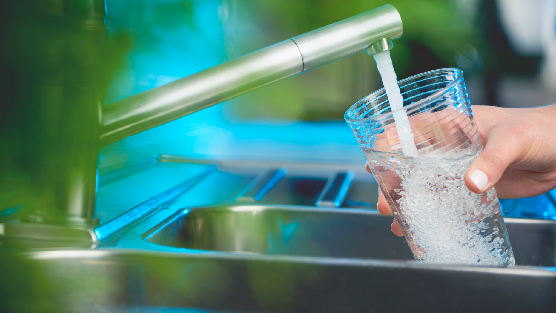 Tap waters from all over were rated for attributes such as appearance, aroma, taste, mouth feel, and aftertaste.