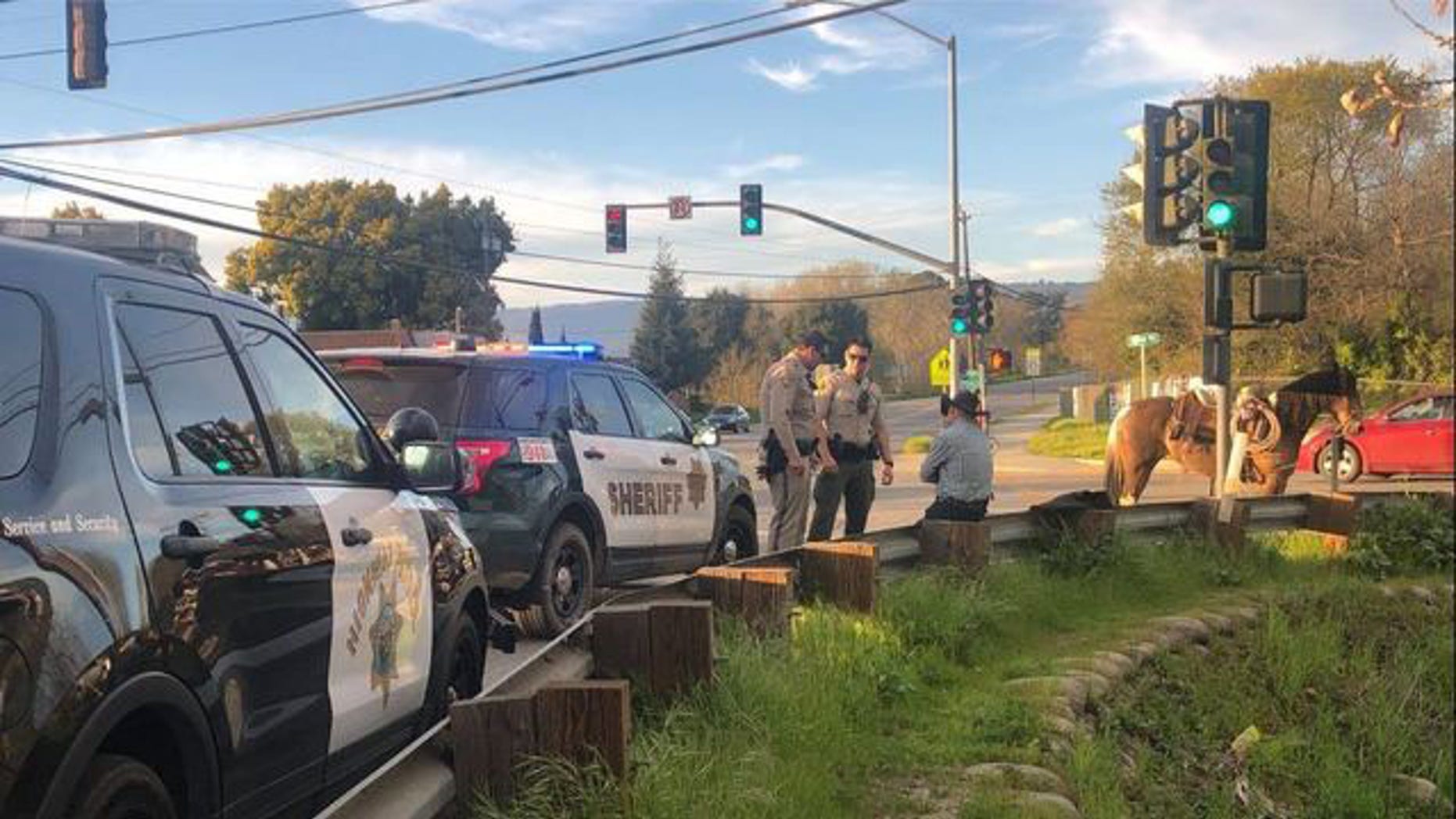 The Santa Cruz man was arrested for public intoxication.