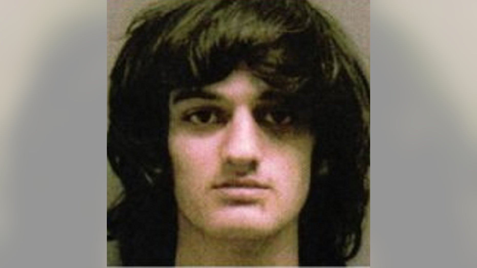 Andrew Michael Young, 19, has been sentenced to 20 years in prison for stabbing a female victim multiple times last year.