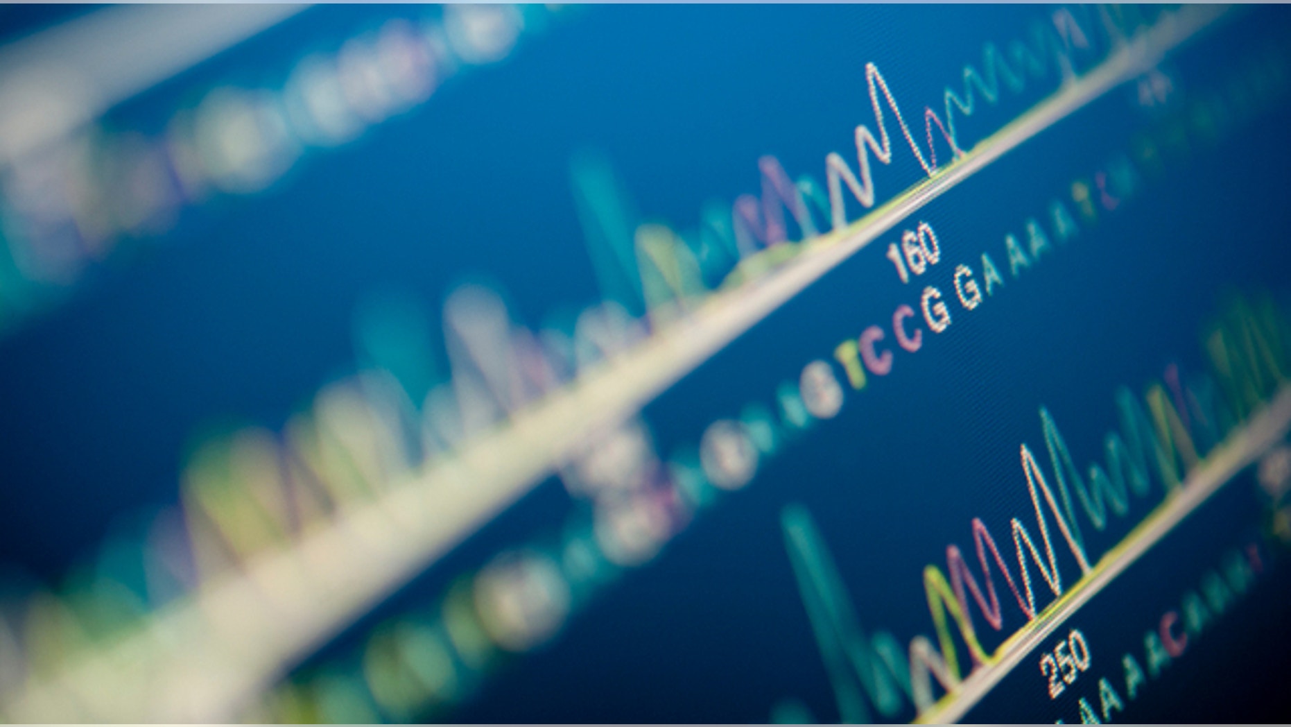 DNA tests have linked a Bay Area women to nearly 30 siblings.