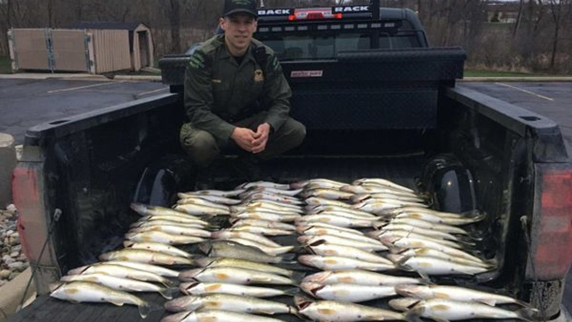 Authorities in Michigan nabbed three men who had nearly five times as many walleyes as the law permits in their vehicle, a report said.