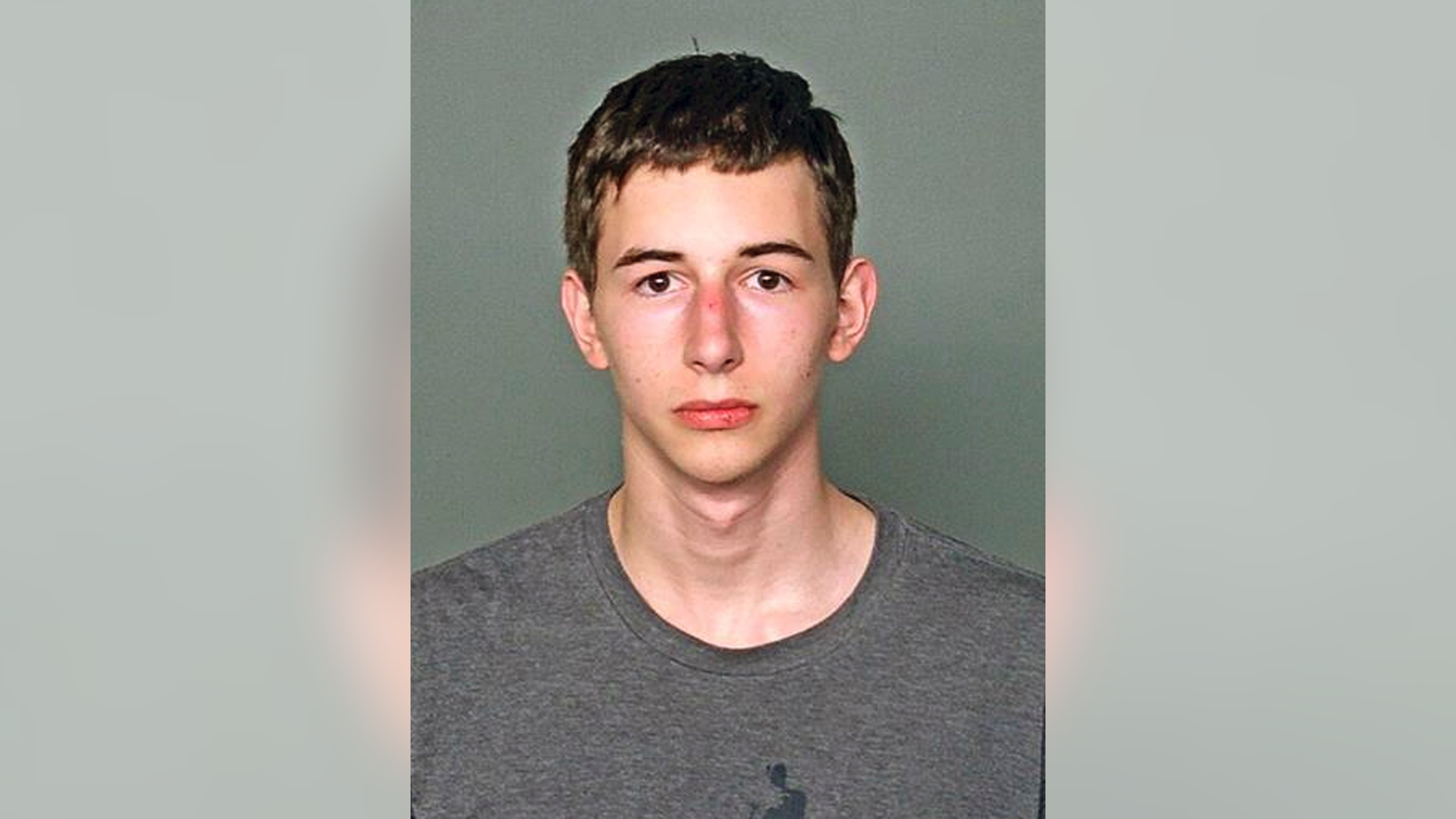 Westlake Legal Group 6ab19c47-ContentBroker_contentid-87d62a3a80e848d8a4e4bfe21315a6da Prosecutors: Wisconsin teen typed plan to kill grandparents fox-news/us/crime fnc/us fnc Associated Press article APPLETON, Wis. a9a72d46-413b-548b-9983-eda9d7112a95