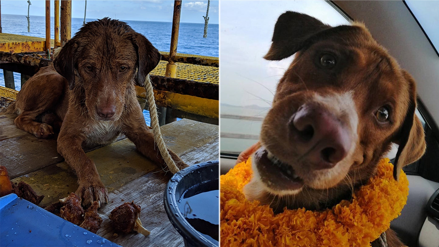 "Boonrod" was rescued by workers on an oil rig after she was spotted paddling some 130 miles from shore on Friday.