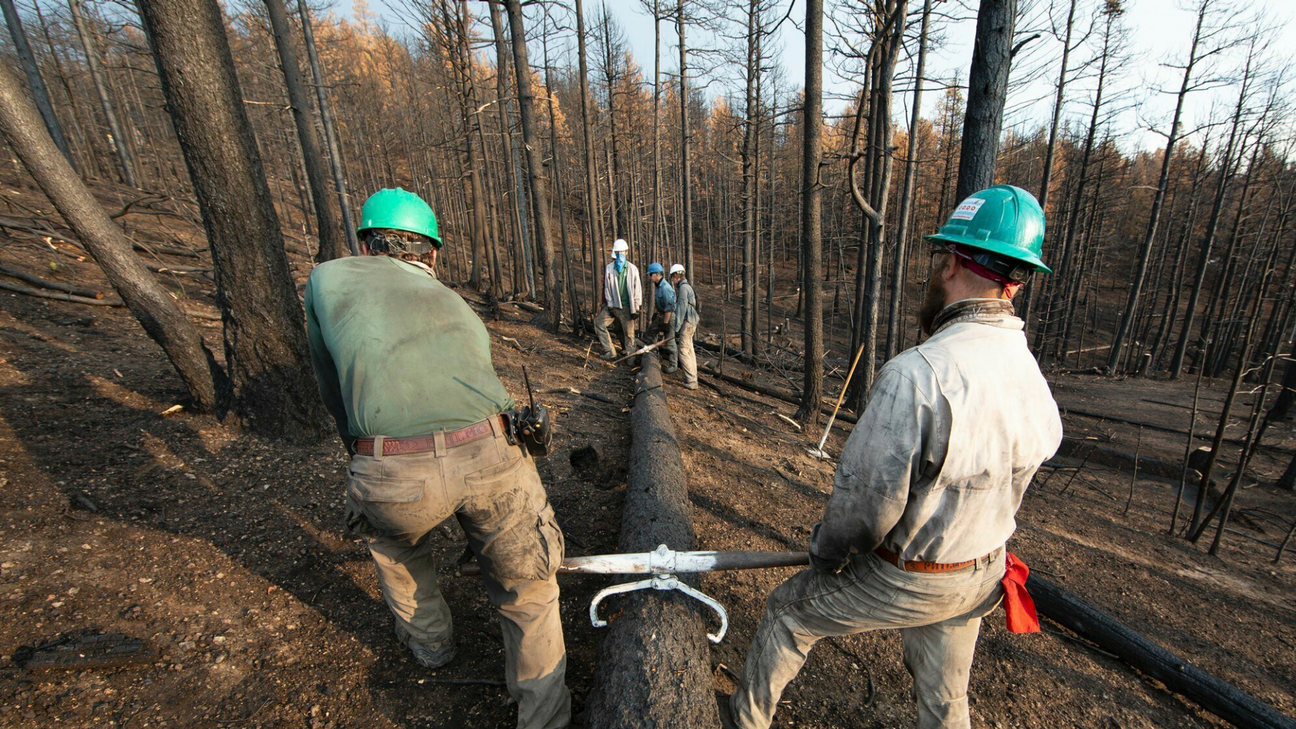 This undated photo provided by the Philmont Scout Ranch shows members of the Philmont Recovery Corps moving a ball into place for a new contour along a charred slope. The historic ranch near Cimarron, New Mexico, is rebuilding itself after a devastating forest fire that burned nearly 44 square miles in 2018. The backcountry trails were wiped out, as well as the developed camps. (Philmont Scout Ranch via AP)