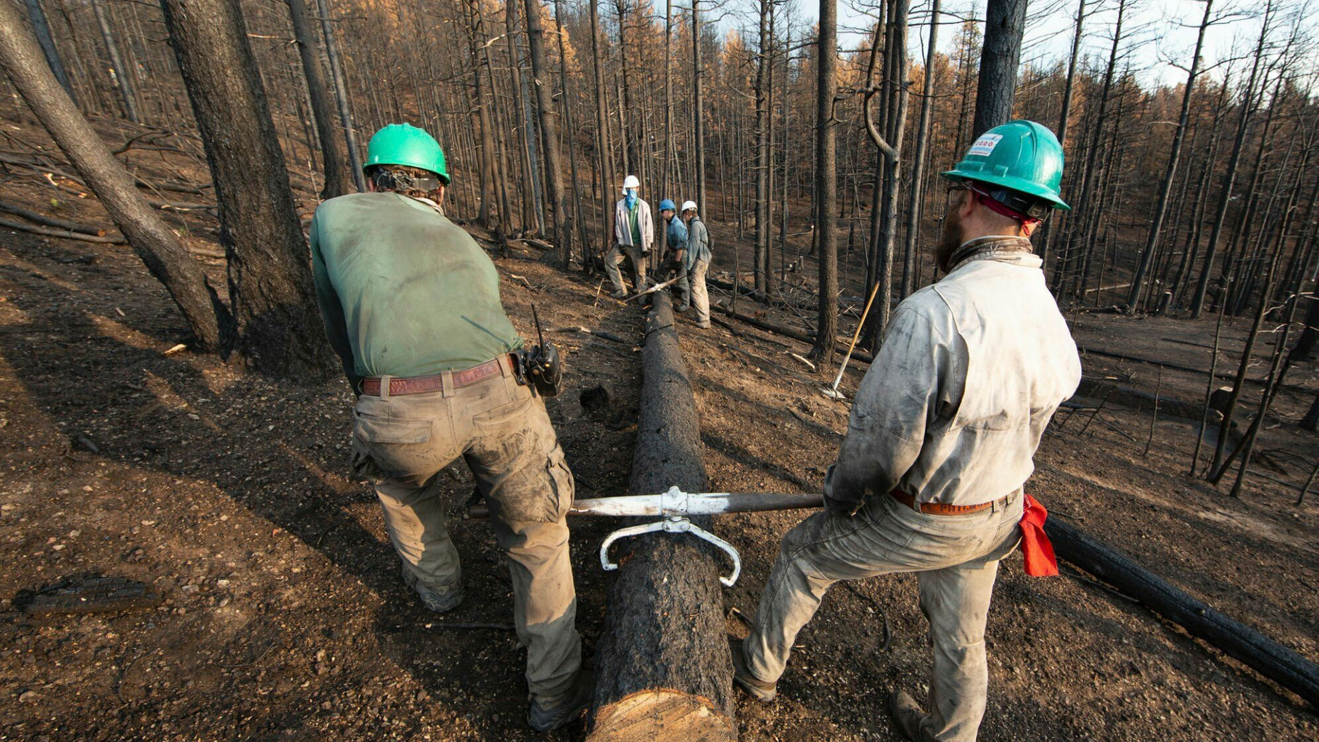 This undated photo provided by the Philmont Scout Ranch shows members of the Philmont Recovery Corps moving a log into place for a new contour along a charred slope. The historic ranch near Cimarron, New Mexico, is rebuilding following a devastating wildfire that burned nearly 44 square miles in 2018. Backcountry trails were wiped out along with trail camps. (Philmont Scout Ranch via AP)