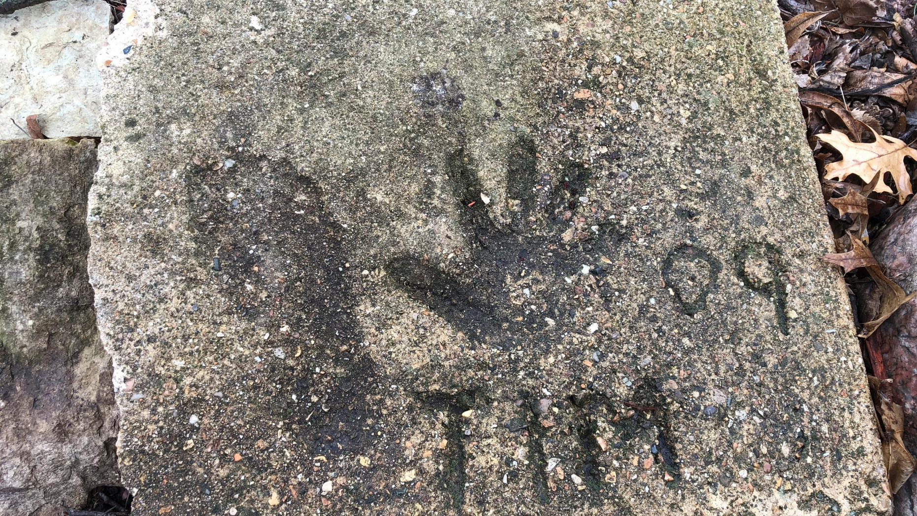 A slab of concrete sits in the backyard of the house where Timmothy Pitzen used to live in Aurora, Ill., Thursday, April, 4, 2019. The man who lives in the house now, Pedro Melendez, says he didn't know the boy but saved the concrete slab with Tim's name, handprint and footprint etched in it when he redid the back patio. Authorities conducted DNA testing to try to determine Thursday whether a teenager found wandering the streets of a Kentucky town is who he claims to be — an Illinois boy who disappeared eight years ago around the time his mother took her own life. (AP Photo/Carrie Antlfinger)