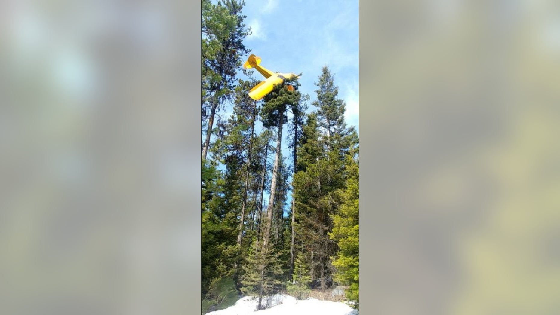 A small airplane crashed on top of a tree when the aircraft lost power.
