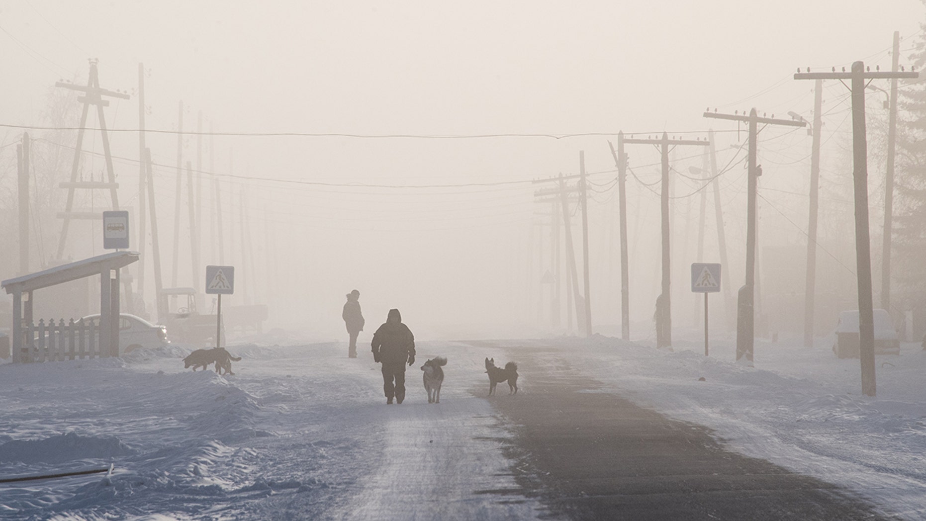 TOPSHOT - A man is surrounded by dogs as he walks on the main street of the settlement of Oy, some 70 km south of Yakutsk, with the air temperature at about minus 41 degrees Celsius, on November 27, 2018. (Photo by Mladen ANTONOV / AFP) (Photo credit should read MLADEN ANTONOV/AFP/Getty Images)