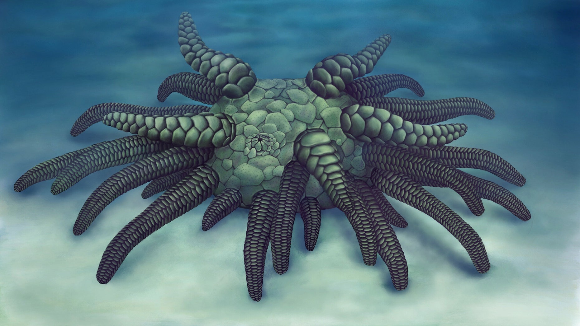 Life reconstruction of Sollasina cthulhu. (Credit: Elissa Martin, Yale Peabody Museum of Natural History)