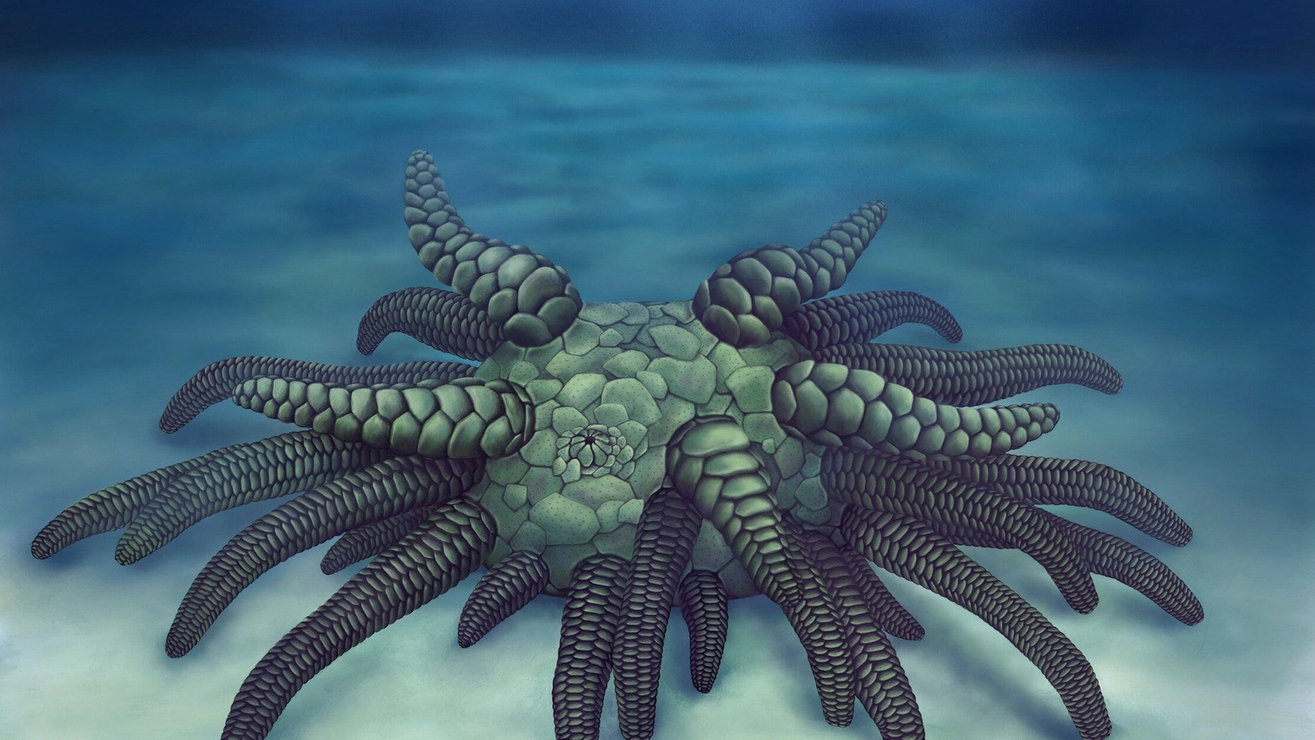 Life reconstruction of Sollasina cthulhu. (Credit: Elissa Martin, Yale Peabody Museum of Natural History)