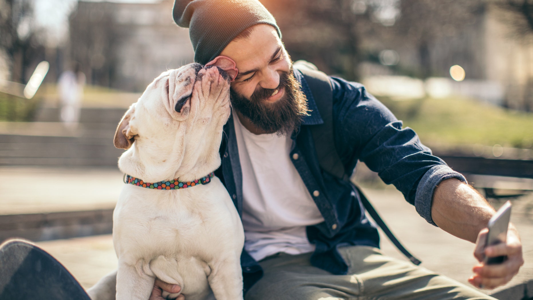 A new study which sampled men’s beards found more harmful bacteria in human whiskers than in dog fur.
