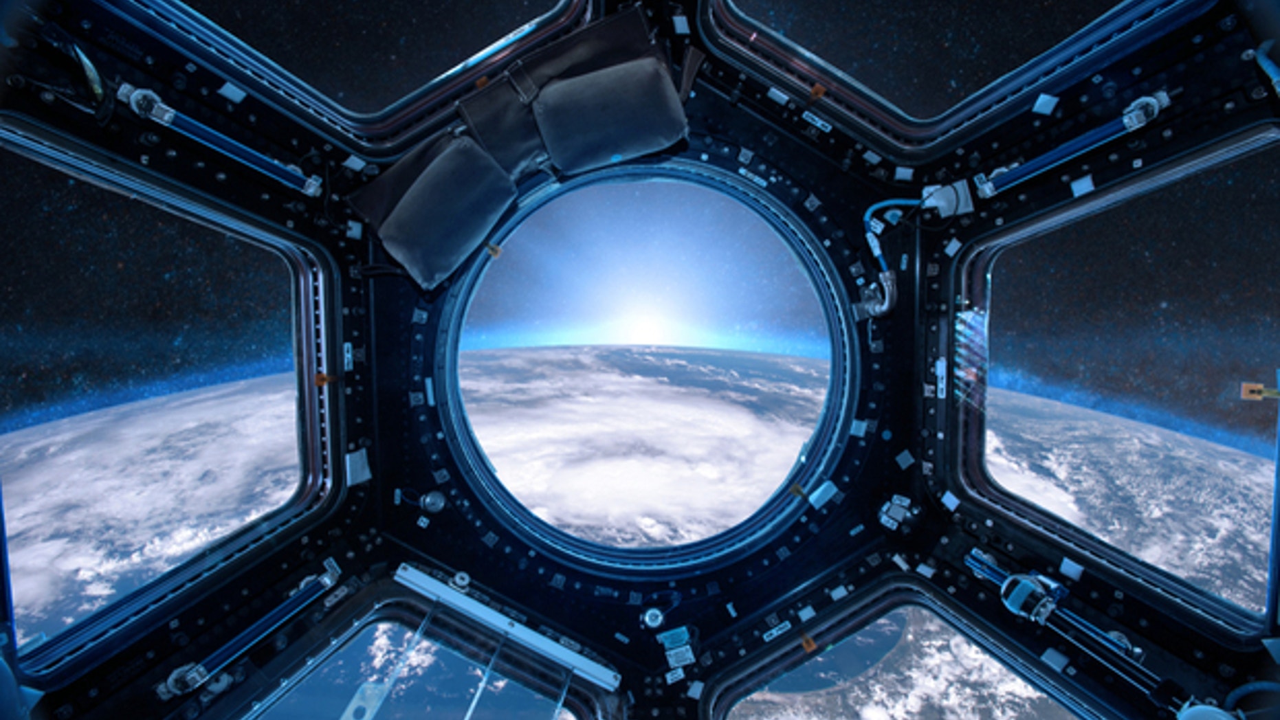 There is toxic fungus living in space. But no one knows whether it poses any threat to human health yet.