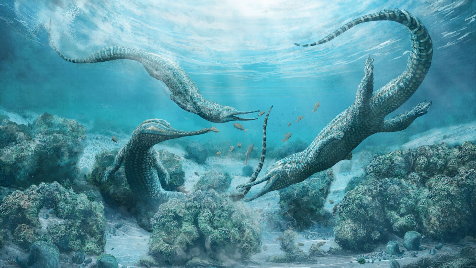 An illustration of the newly discovered phytosaur species <i>Mystriosuchus steinbergeri</i>, a crocodile-like beast that lived 210 million years ago in what is now Austria.