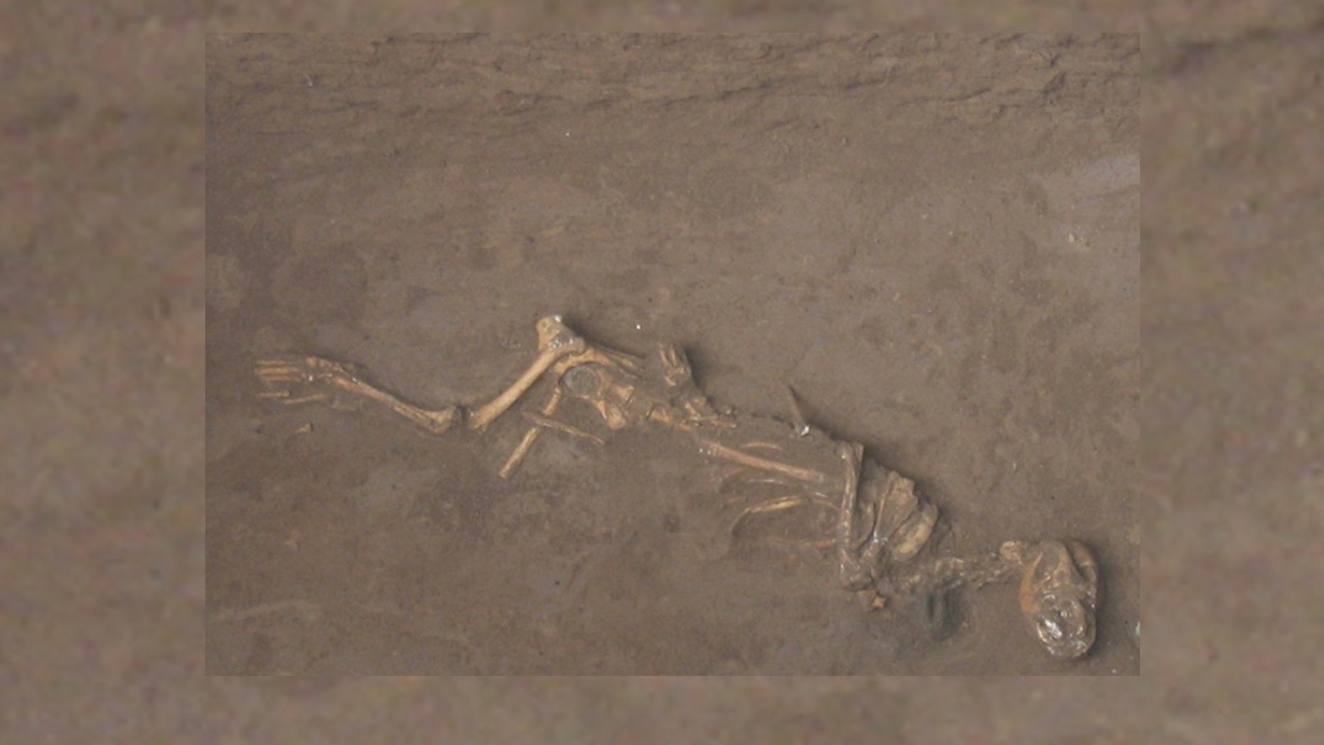 A Bronze Age dog found buried with a bell around its neck at the site of Sipanmo in Anyang, China.