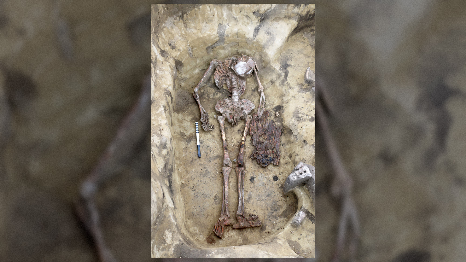 Remains of the "birdman" were found in a grave in the Ust-Tartas archeological site in Western Siberia and date to the Bronze Age.