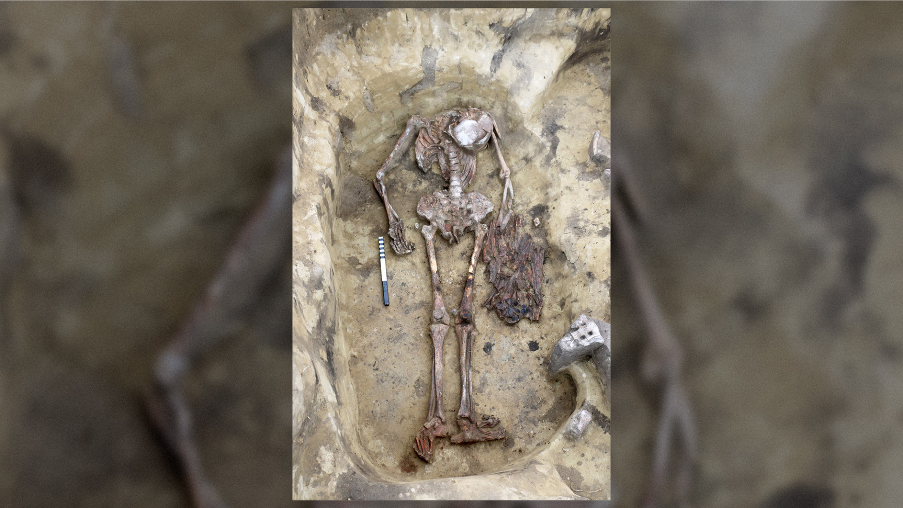 Remains of the "birdman" were found in a grave in the Ust-Tartas archeological site in Western Siberia and date to the Bronze Age.