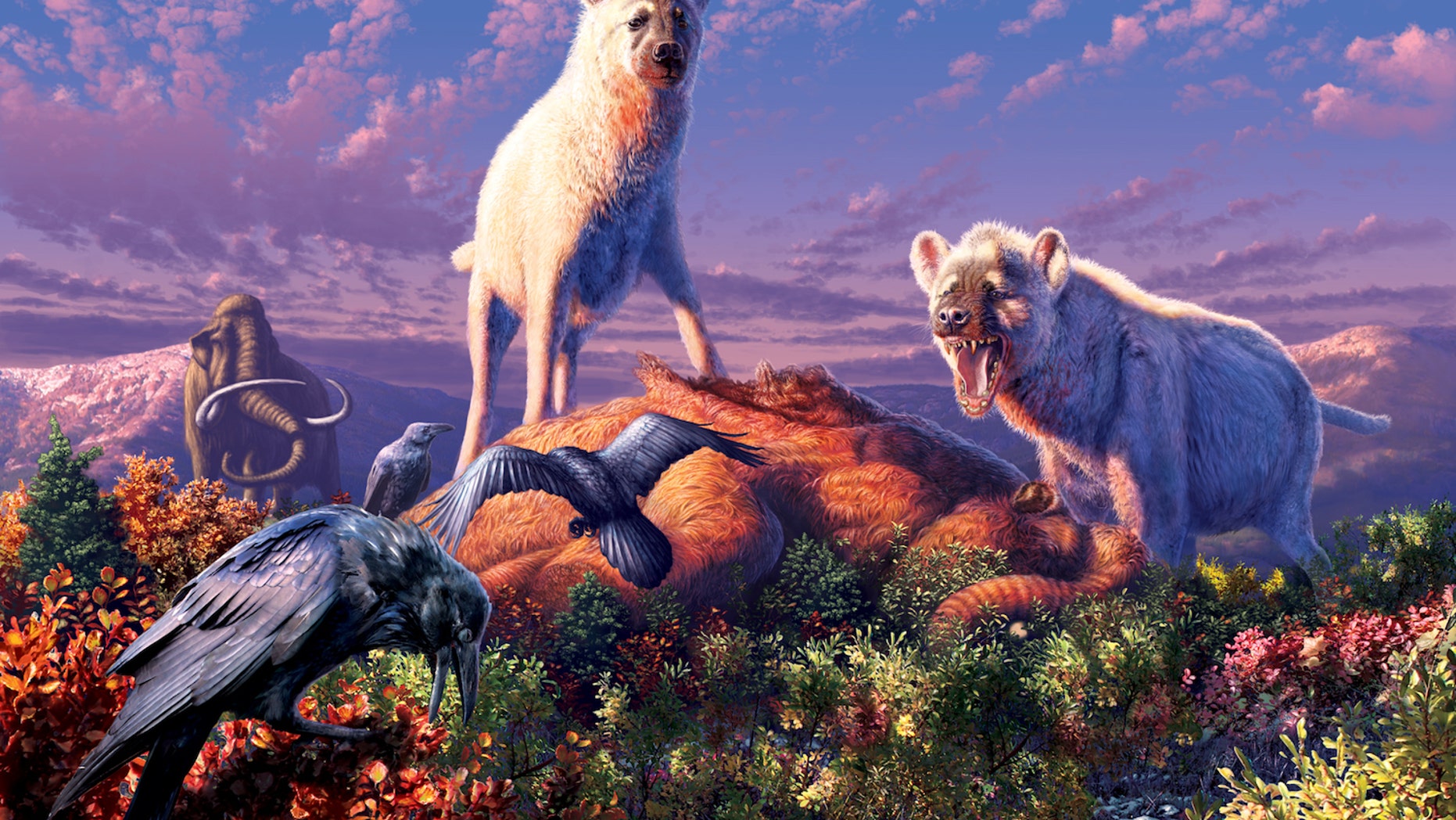 An illustration of two triumphant ancient hyenas (<i>Chasmaporthetes</i>) standing over their next meal in what is now the Yukon Territory of Canada.