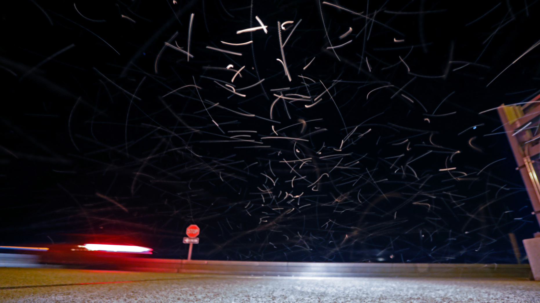 In this time exposure of 1/10 second, a swarm of blind mosquitoes, or aquatic midges, is seen as traffic drives on the Causeway Bridge, with dead ones on the pavement, over Lake Pontchartrain, in Jefferson Parish, outside New Orleans, Tuesday, June 18, 2019. Billions of mosquito lookalikes are showing up in the New Orleans area, blanketing car windshields, littering the ground with bodies and even scaring some folks. They're aquatic midges, also called "blind mosquitoes," but these flies don't bite. However, the Motorist Assistance Patrol on the 24-mile-long Lake Pontchartrain Causeway has been stocking extra water to slosh down windshields. (AP Photo/Gerald Herbert)