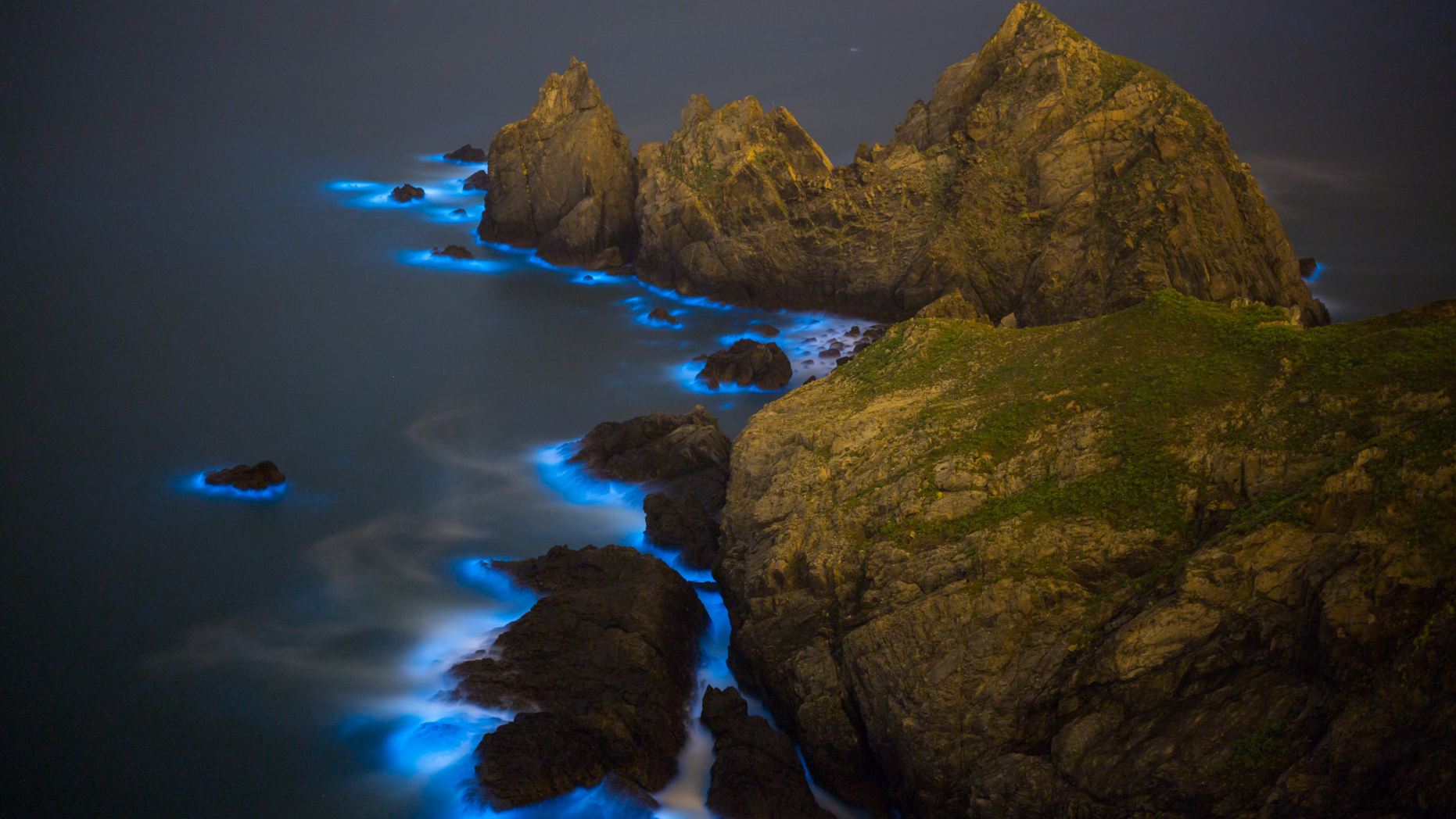 The "Blue Tears" in the East China Sea are actually caused by toxic algae, and new research suggests they are growing bigger every year.