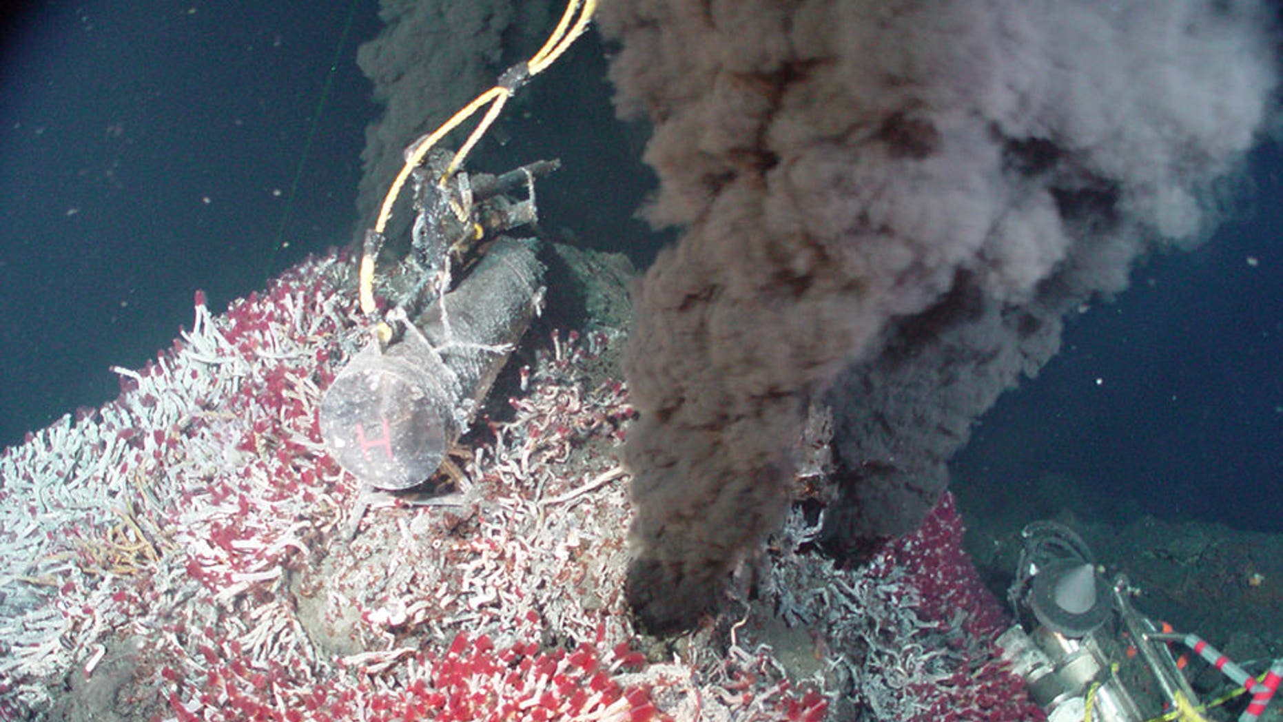 Every year, billions of gallons of ocean water fall into the Earth at tectonic plate boundaries, then gush back out at hydrothermal vents like the one seen here. A new study shows that this deep water cycle may contribute to hundreds of feet of sea level loss over time.