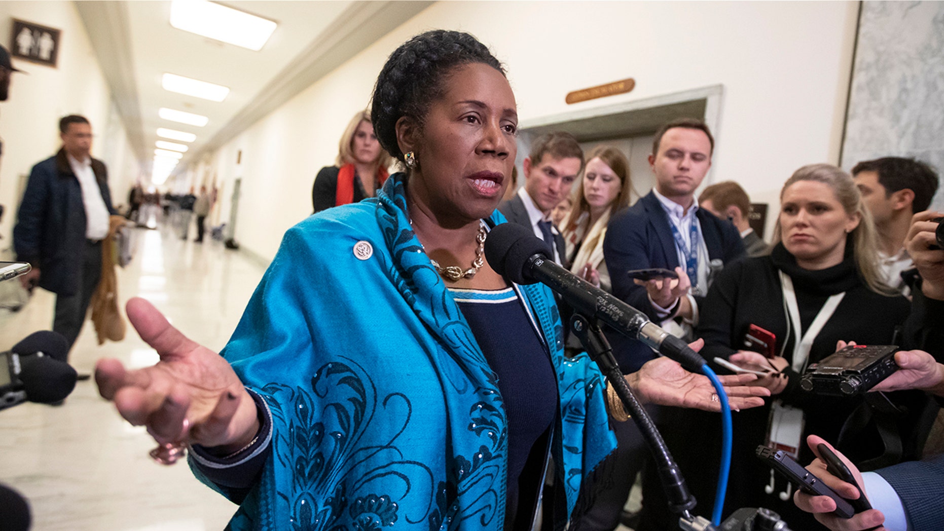 US Representative Sheila Jackson Lee, D-Texas, speaks to reporters at Capitol Hill in Washington. (AP Photo / J. Scott Applewhite, File)