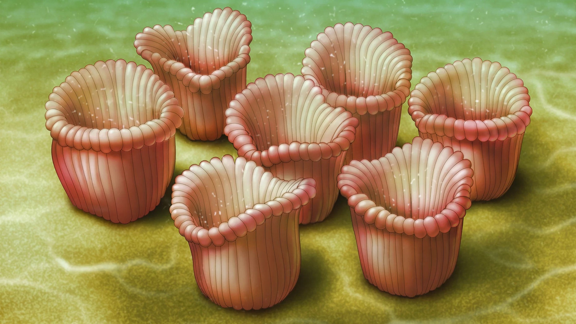 Artistic reconstruction of a gregarious community of Ernietta. Credit: Dave Mazierski
