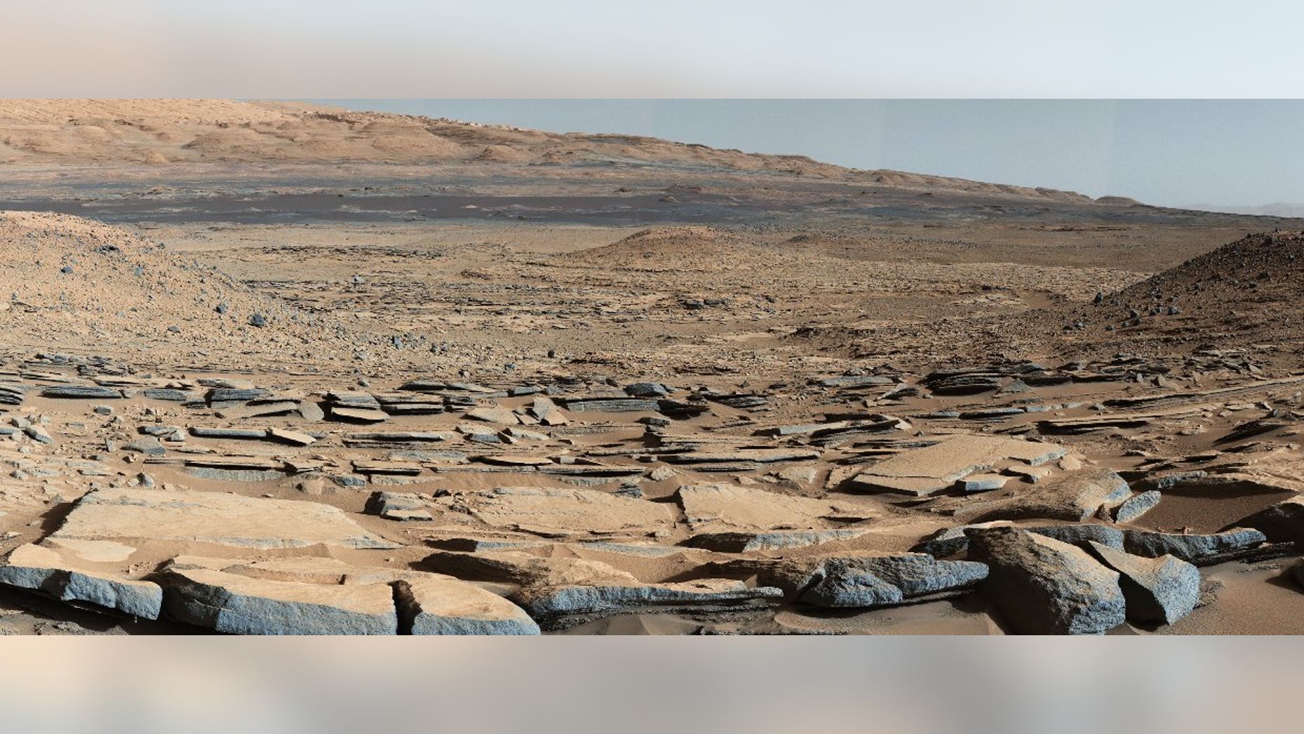 Could microbes survive on the surface of the Red Planet?