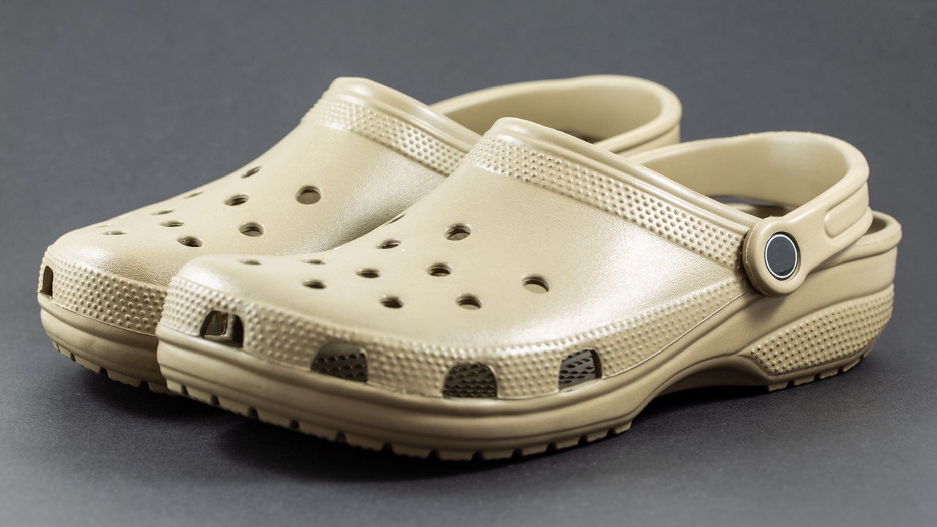 fox crocs