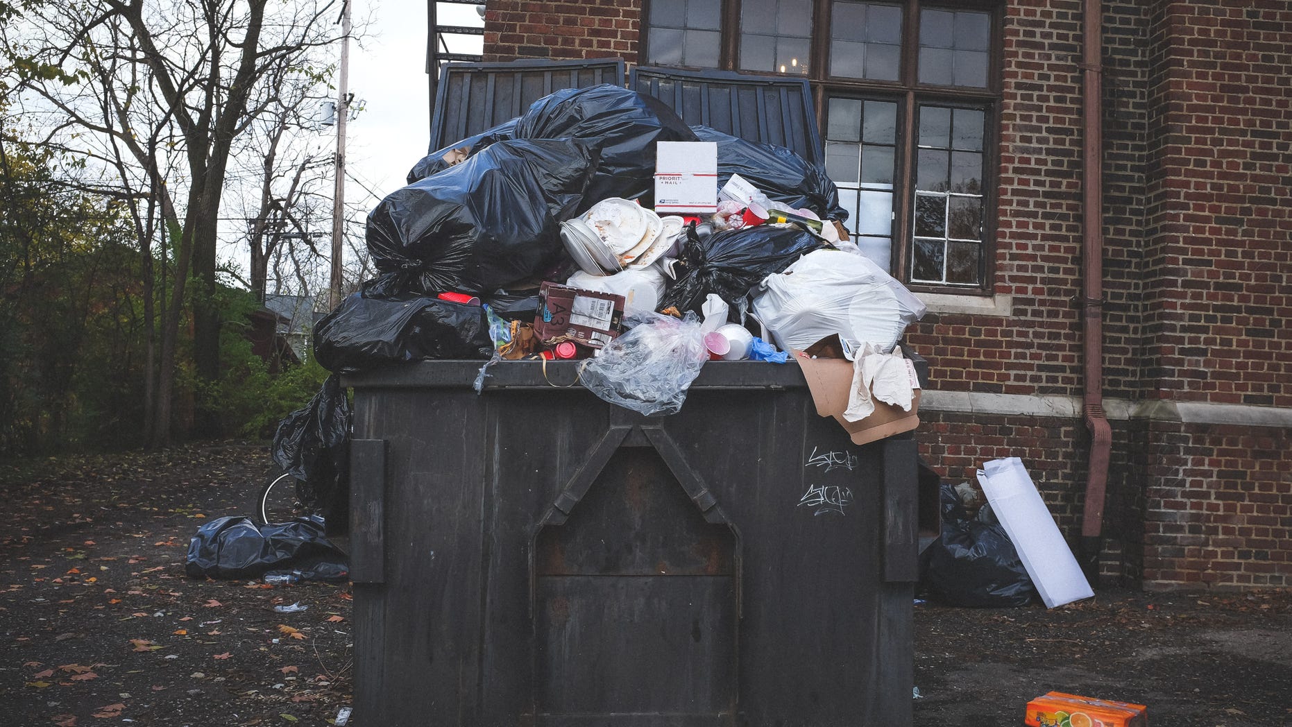 A new study examining the food waste habits of 2,000 Americans also found that the average American will toss out four spoiled items from their fridge every week.