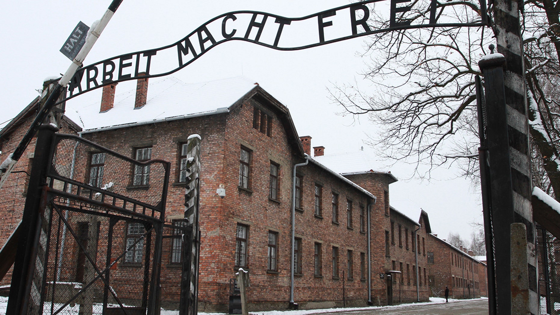 Travel Blogger's Photo Of Rubber Duck In Front Of Gates Of Auschwitz ...