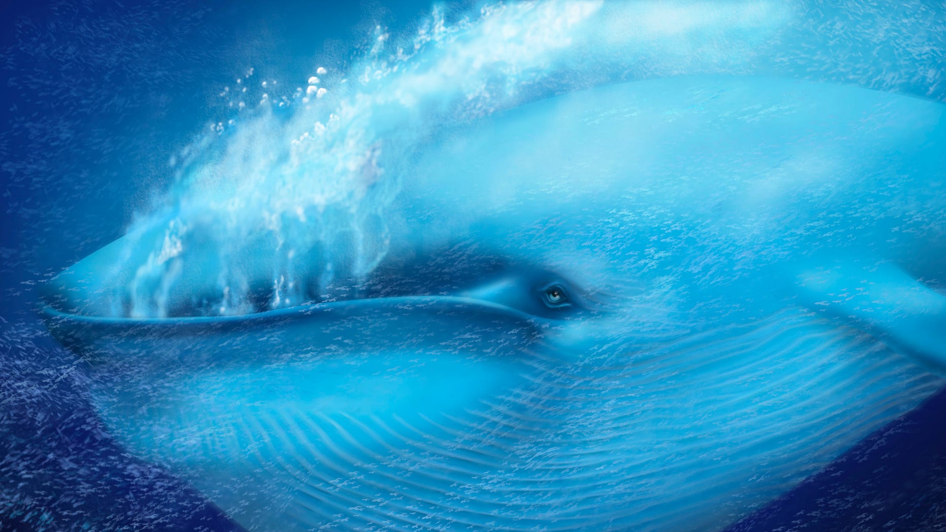 Синий кит поет