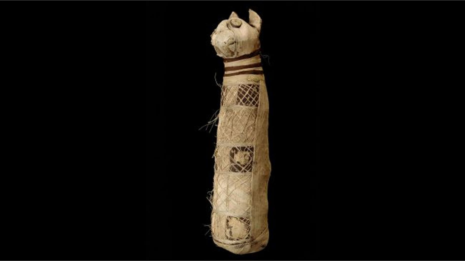 A group of researchers used a CT scan to examine the insides of this ancient Egyptian cat mummy held at the Museum of Fine Arts of Rennes in France. (Credit: Museum of Fine Arts of Rennes)