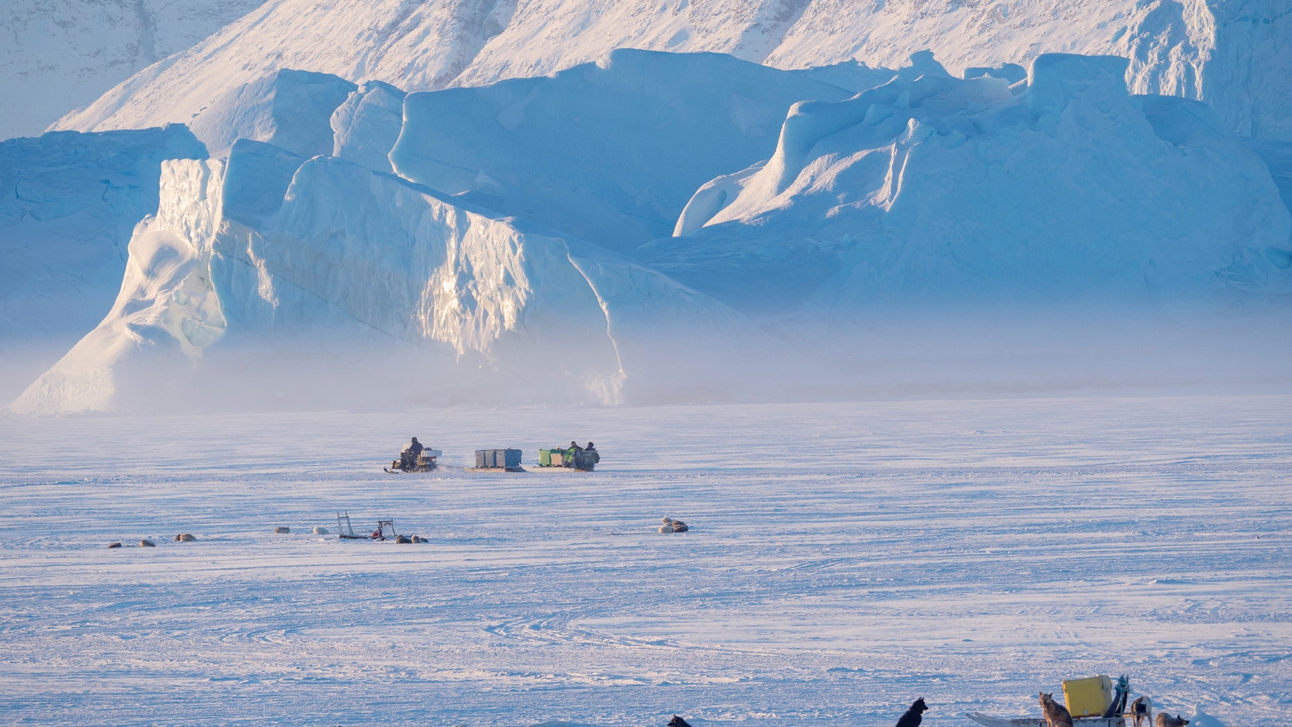 Team of sled dog during winter in Uummannaq in the north west of Greenland - file photo.