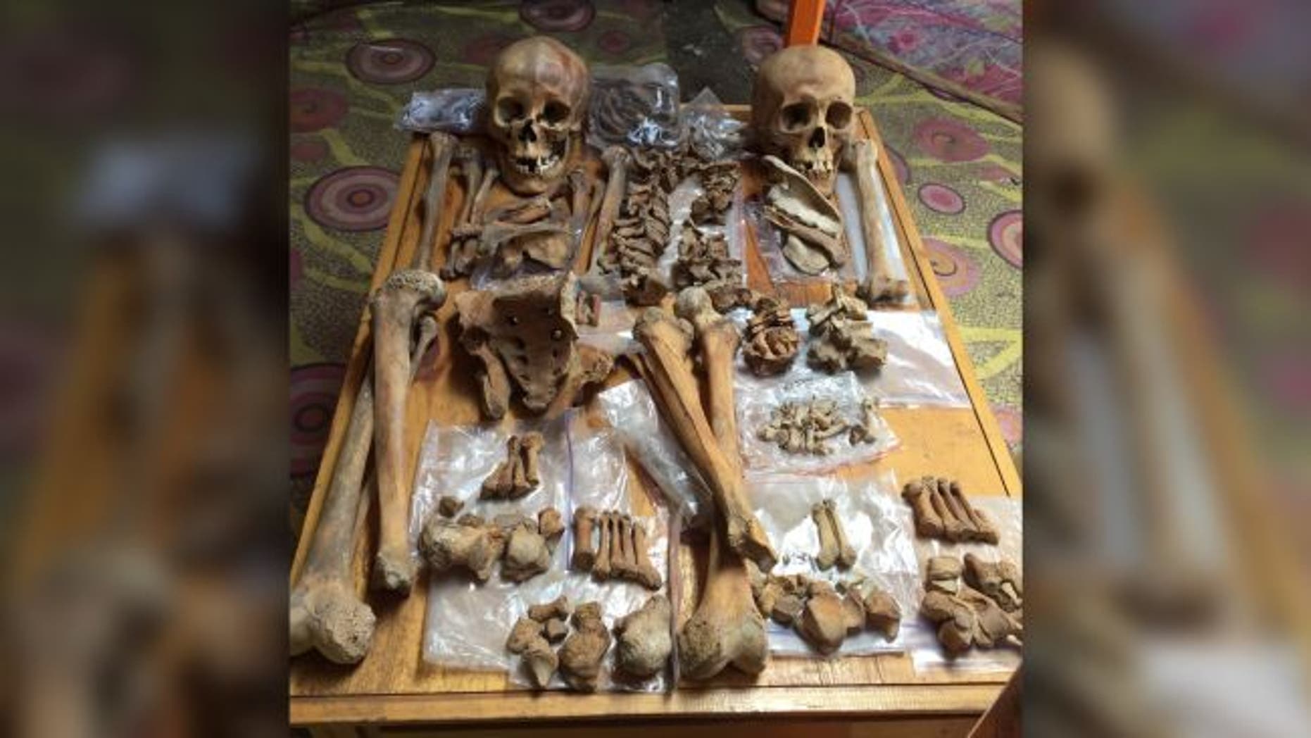 The remains of the older warrior woman (left) and her husband, which were excavated from the Airagiin Gozgor archaeological site, in the Orkhon province of northern Mongolia. (Credit: Christine Lee)