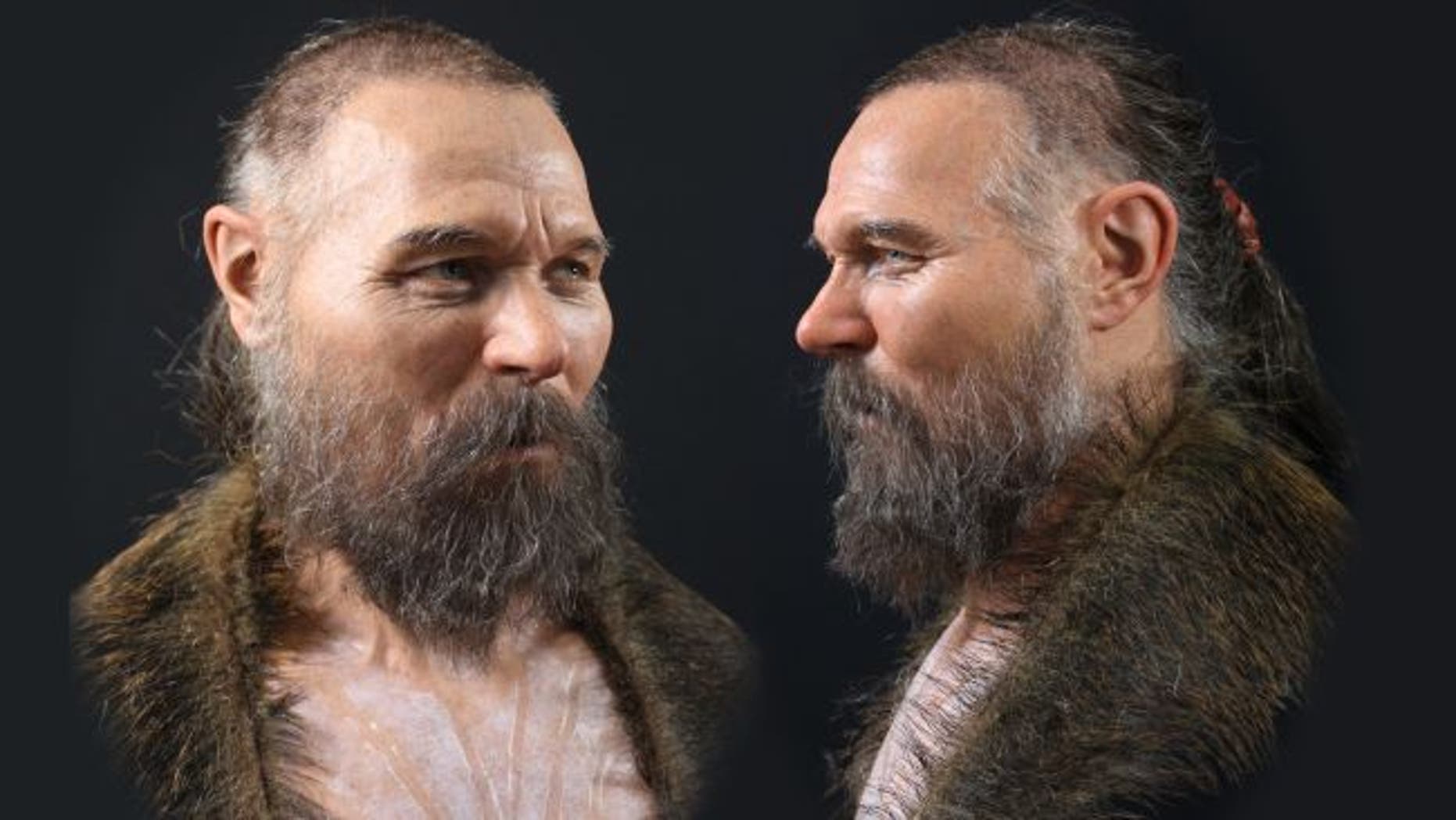 In this reconstruction, the Mesolithic man, who died in his 50s, wears a wild boar skin. (Credit: Oscar Nilsson)