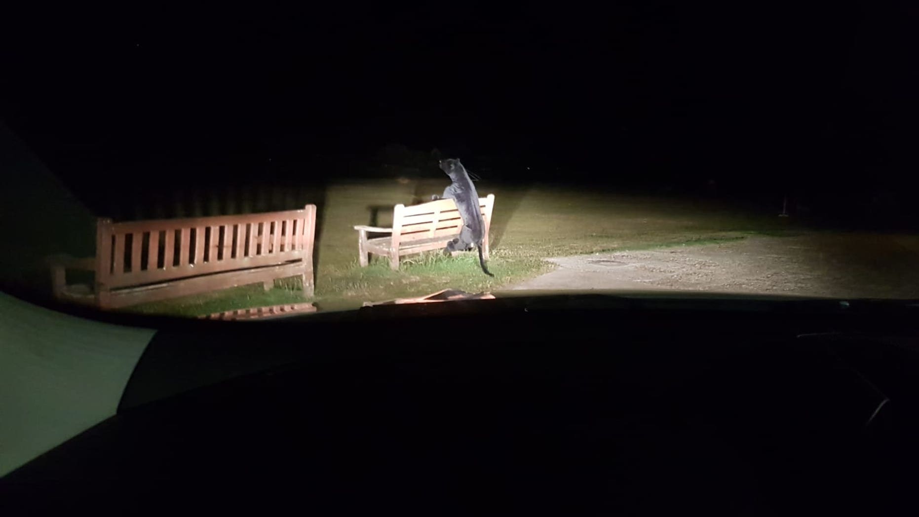 Police were reportedly called to a park in Steyning, Horsham, West Sussex, on Friday over fears of an “apex predator” roaming around.