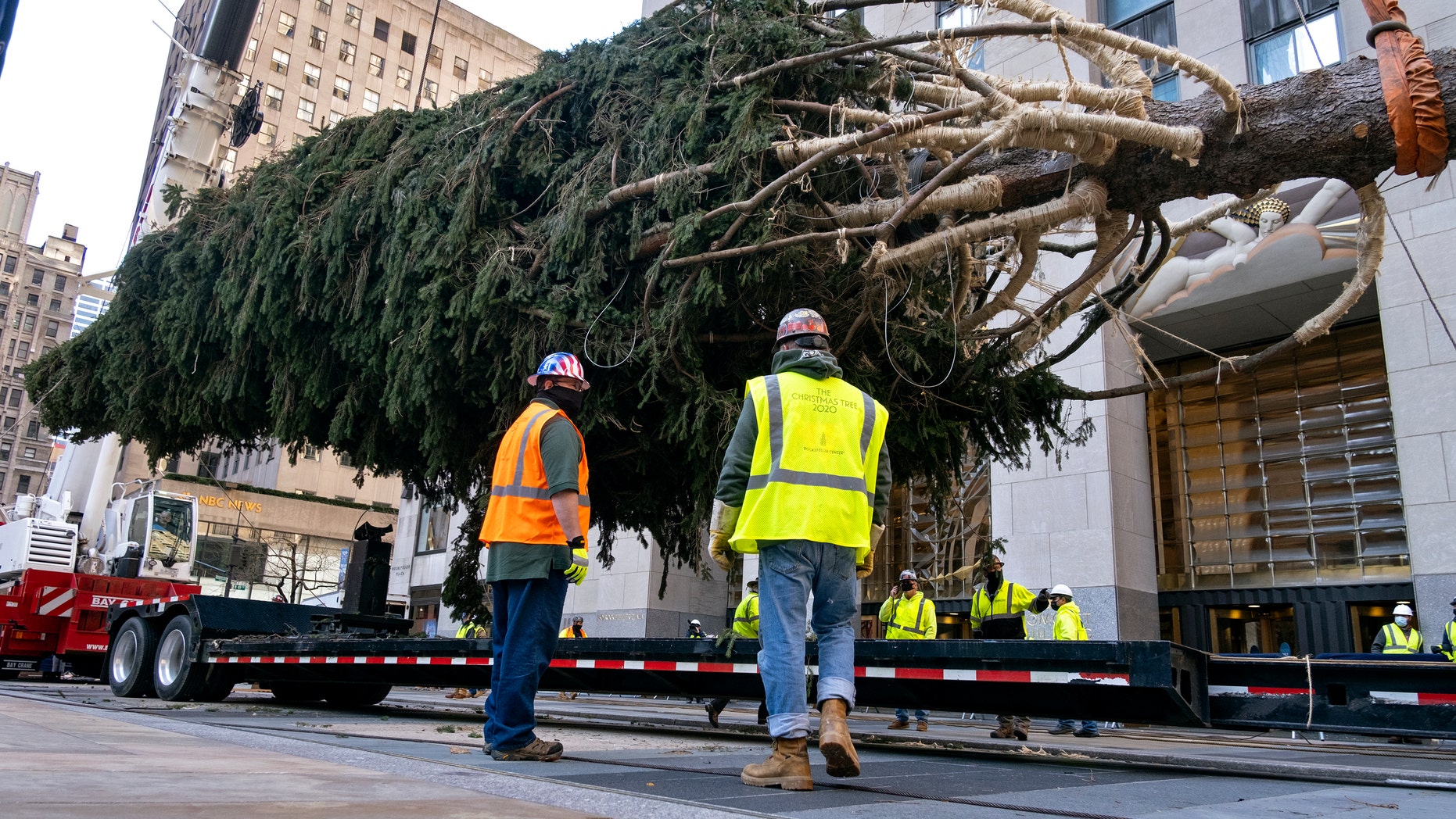 The 2020 Rockefeller Center Christmas tree, a 75-foot tall Norway Spruce that was acquired in Oneonta, N.Y., is prepared for setting on a platform at Rockefeller Center Nov. 14, in New York. (AP Photo/Craig Ruttle)