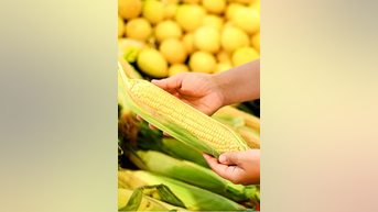 Grocery etiquette: 'You SHUCK it, you buy it' - Fox News