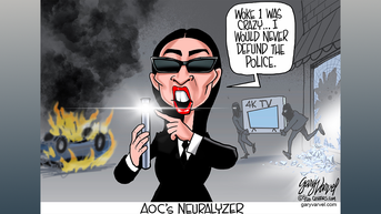 Political cartoons of the day - Fox News