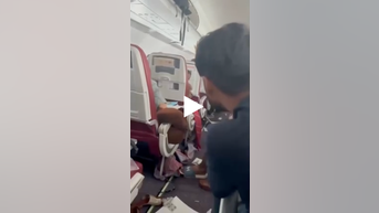 SEE IT: Terrifying TURBULENCE on plane - Fox News